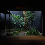 Kishoan - Vacation Stay 09054V